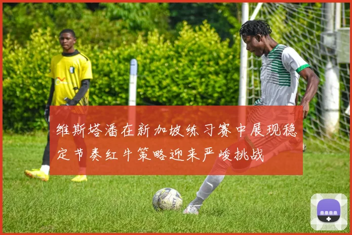 维斯塔潘在新加坡练习赛中展现稳定节奏红牛策略迎来严峻挑战
